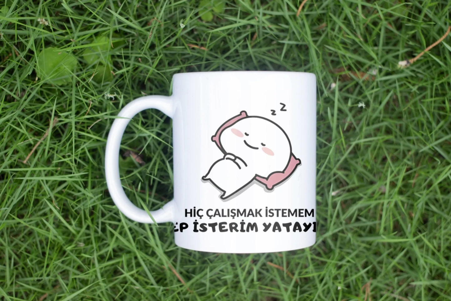 episterim2