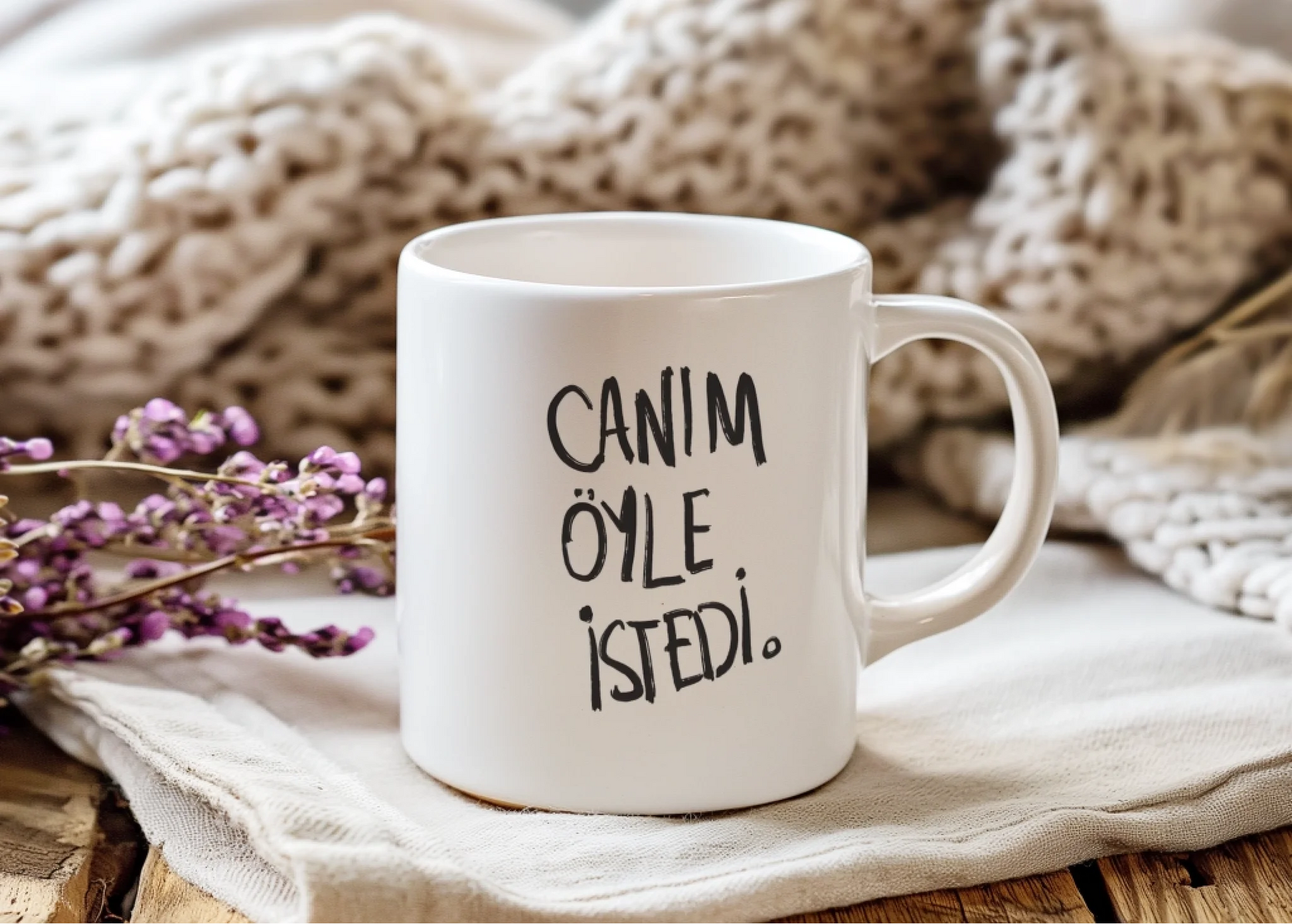 oyleistedi2