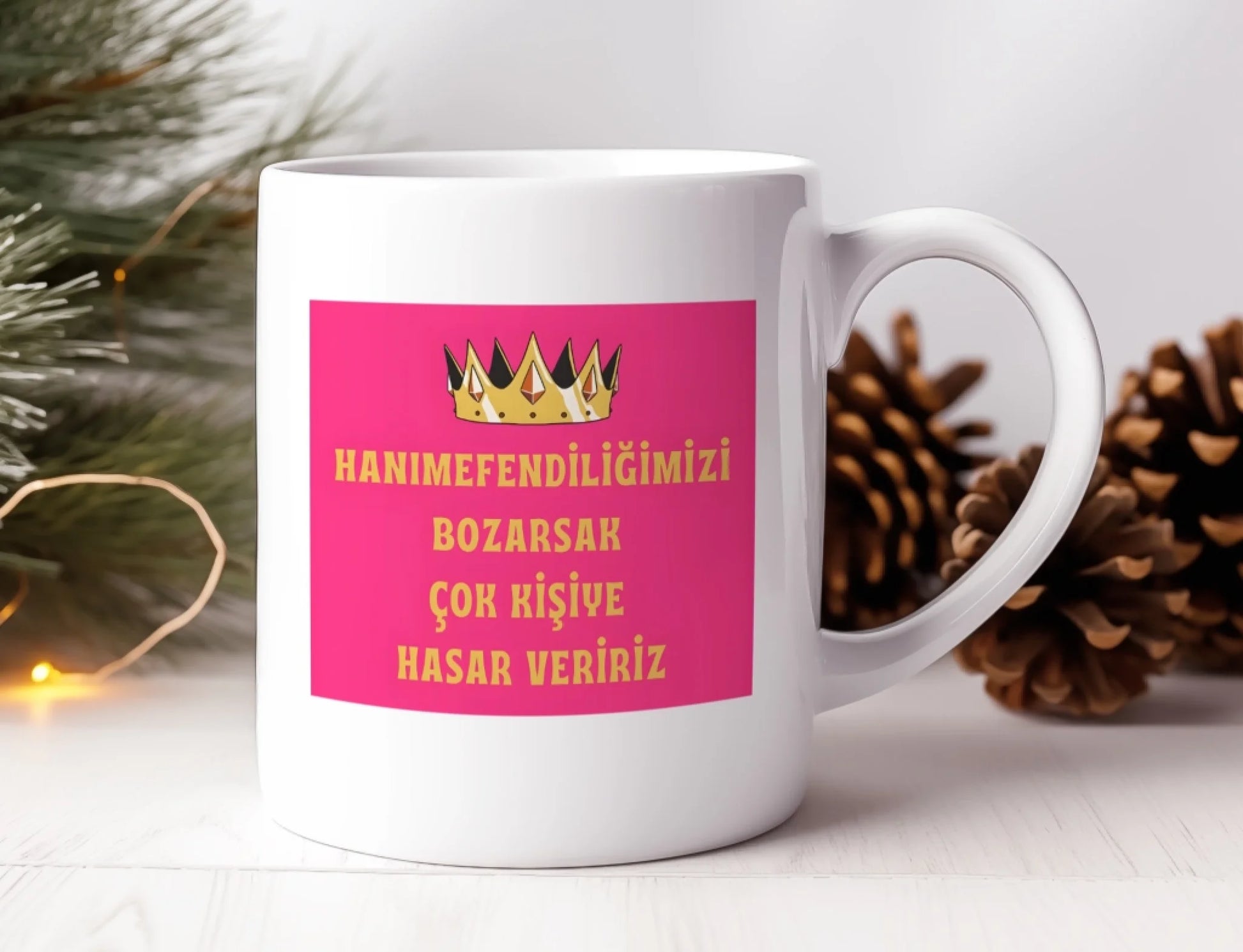 hasarveririz1