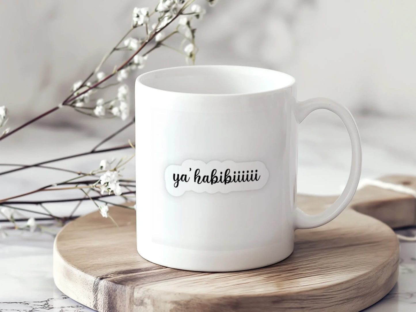habıbısıyah4