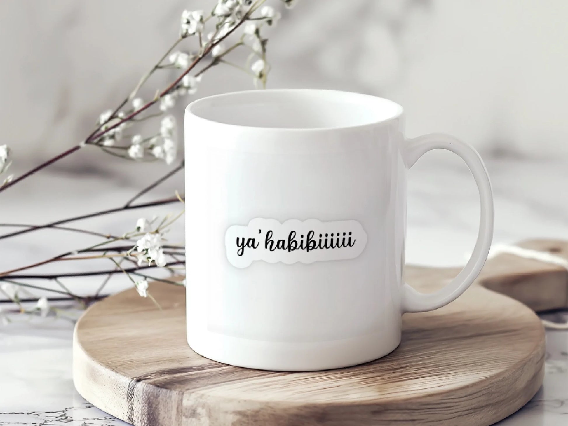 habıbısıyah4