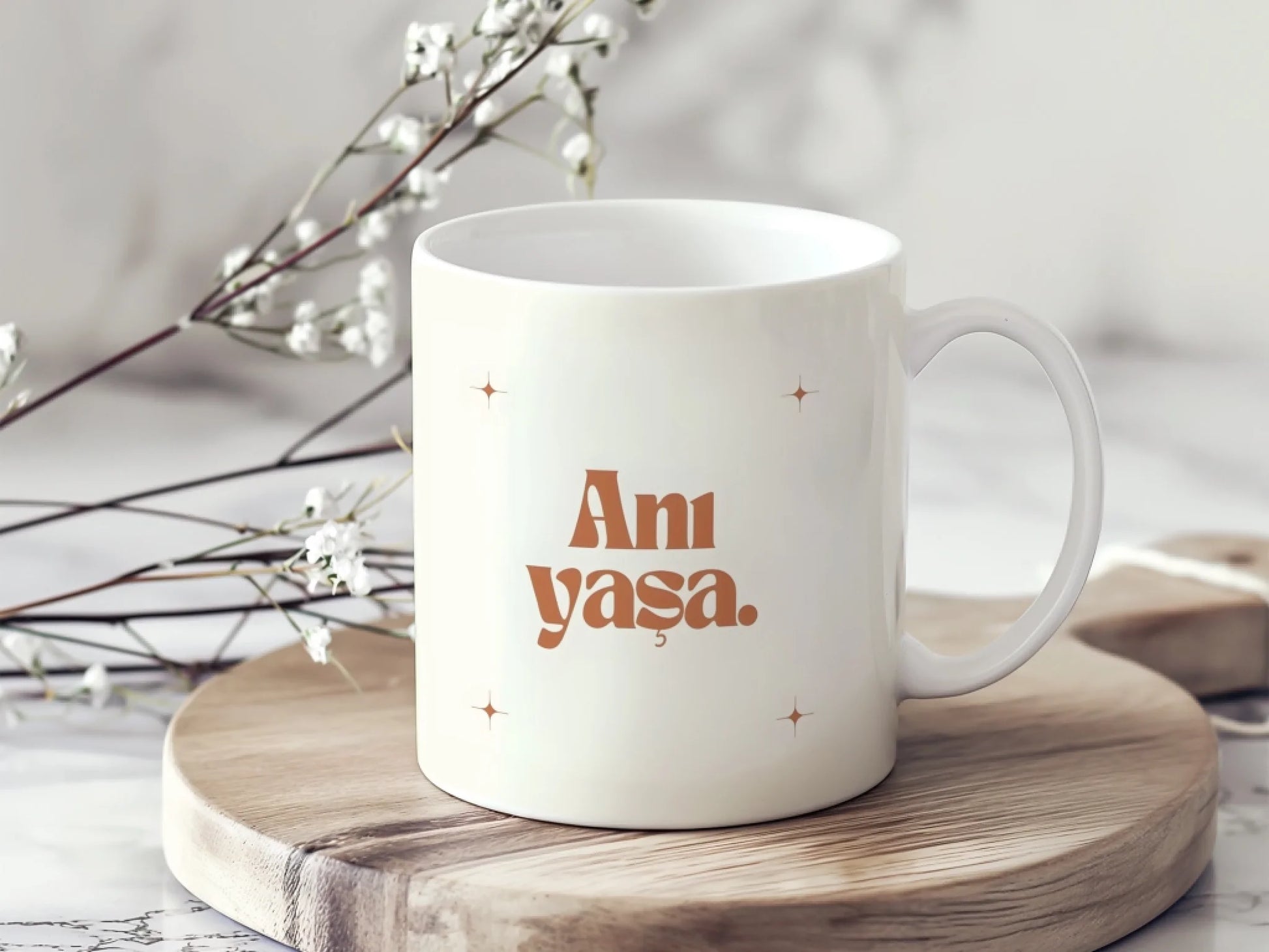 anıyasaanı4