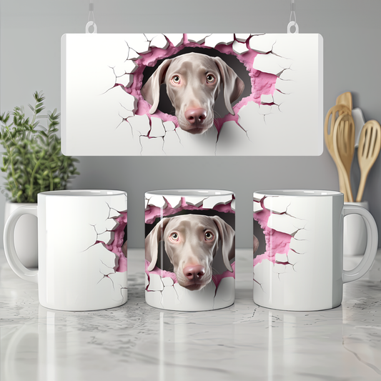 Dost Kupa – Kupanda Minik Bir Köpek - Valentine Weimaraner